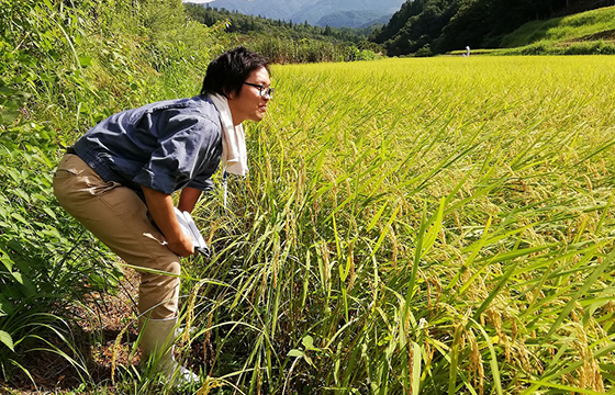 兵庫県農政環境部農林水産局農産園芸課農学職採用